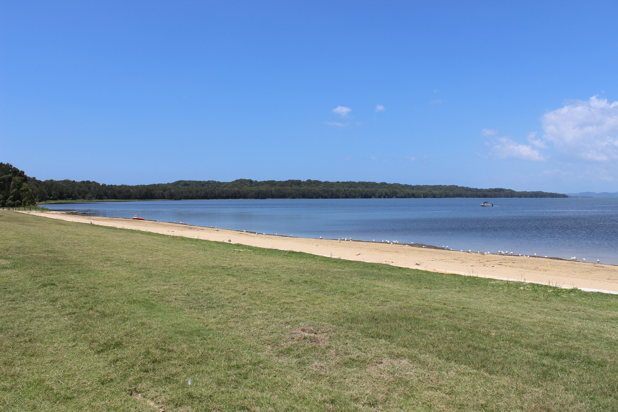 canton beach foreshore picnic